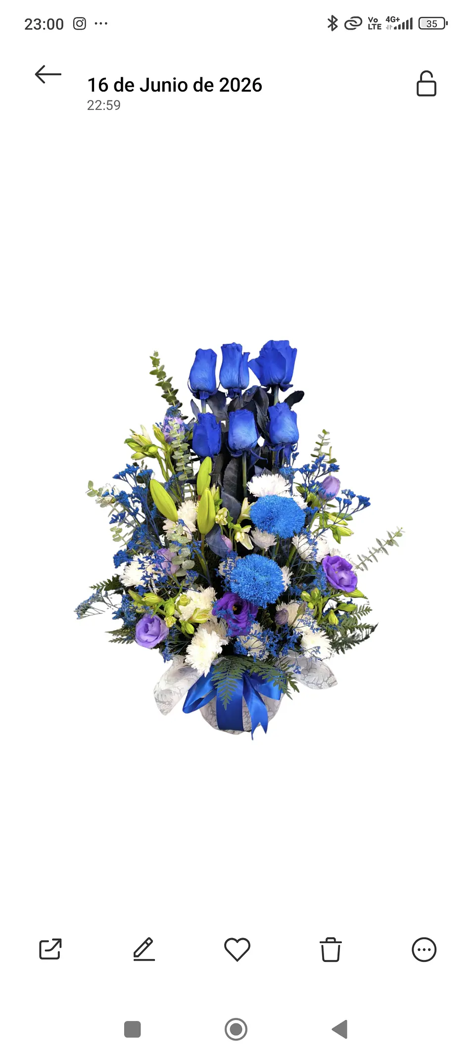 Paralelo de rosas azules  1