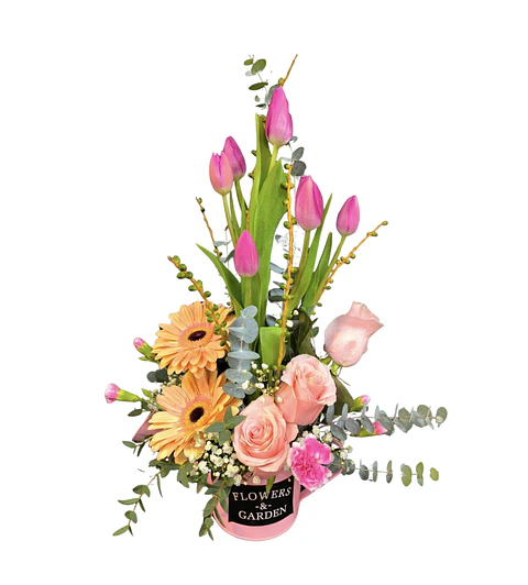 Regadera de tulipanes rosados