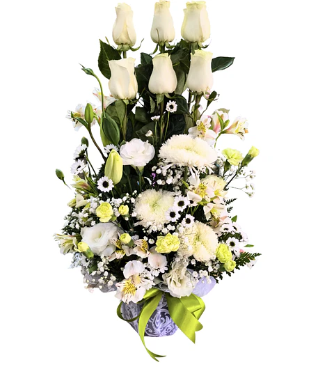 Paralelo de rosas blancas