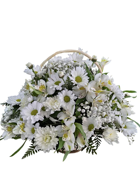 Cesta de alstroemerias y maules blancos de condolencias
