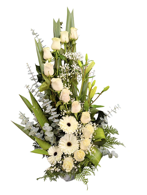 Espiral de rosas blancas