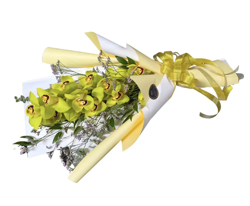 Vara de orquídea Cymbidium verde  1