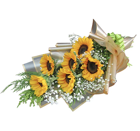 Elisa sunderflowers