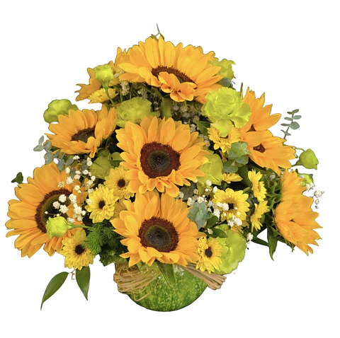Pecera de girasoles y lisianthus 