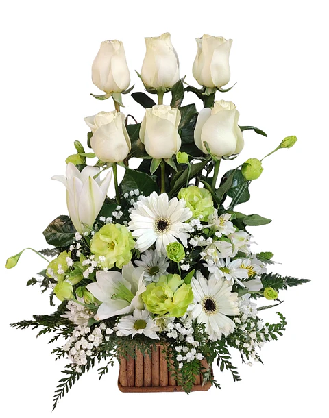 Paralelo de rosas blancas en base de madera