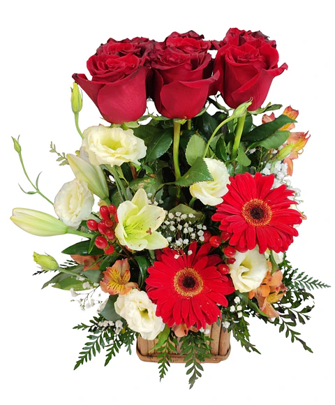 Maceta de rosas rojas en madera 