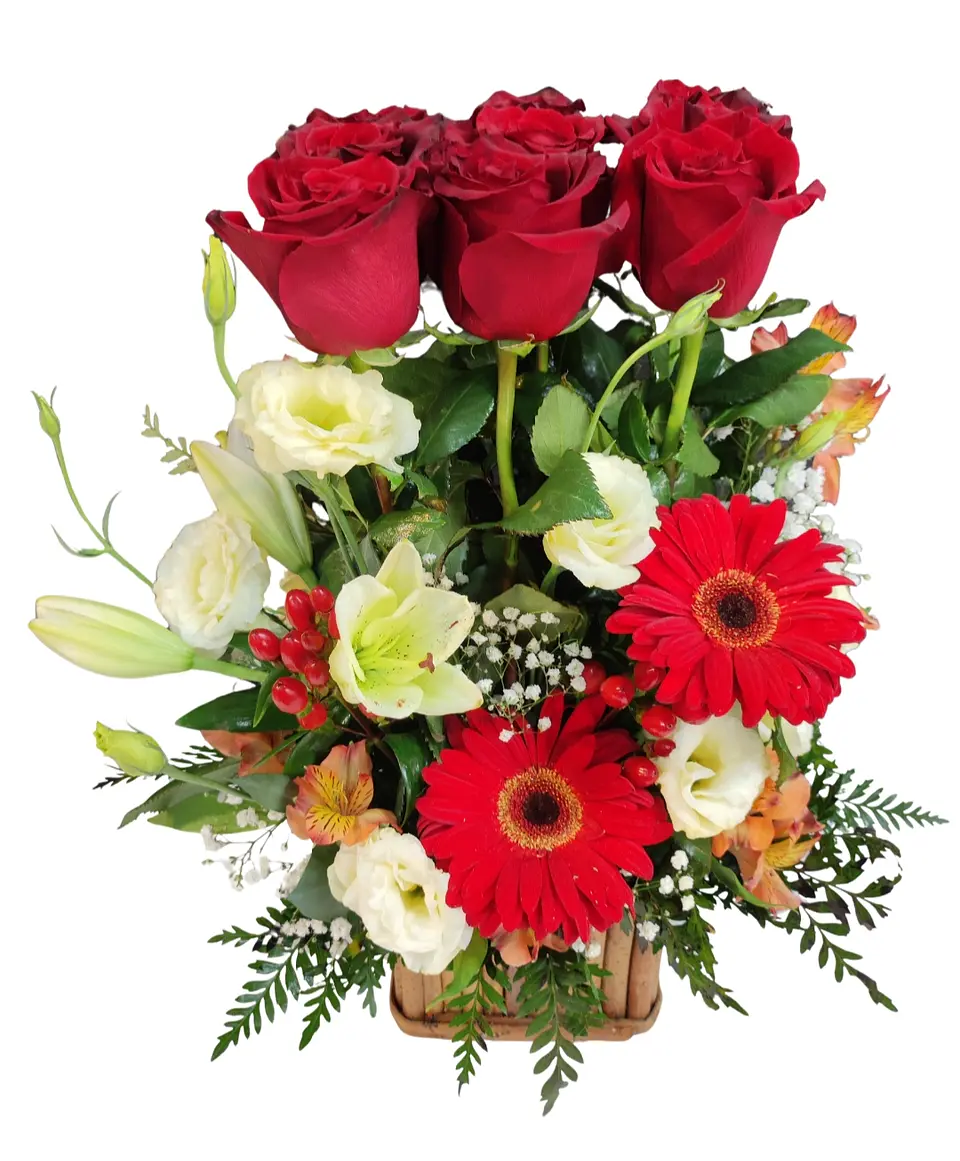 Maceta de rosas rojas en madera  1