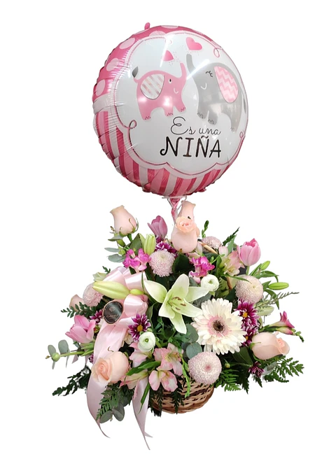 Es una Niña... cesta de nacimiento