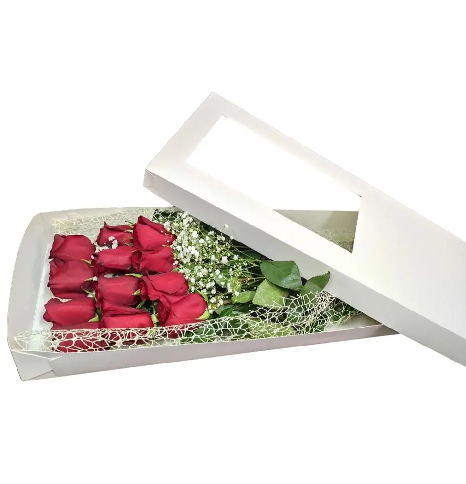 Caja de 12 rosas 2