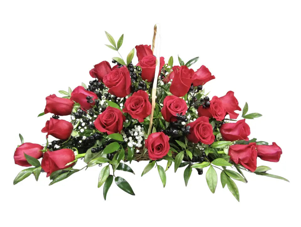 Cesta red experience 1
