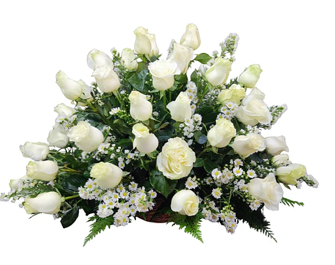 Cesta de 75 rosas blancas 
