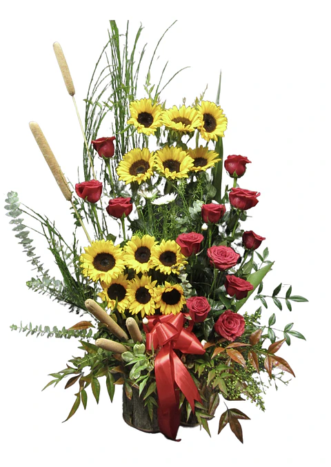 Paralelo Otoñal de Girasoles y Rosas.