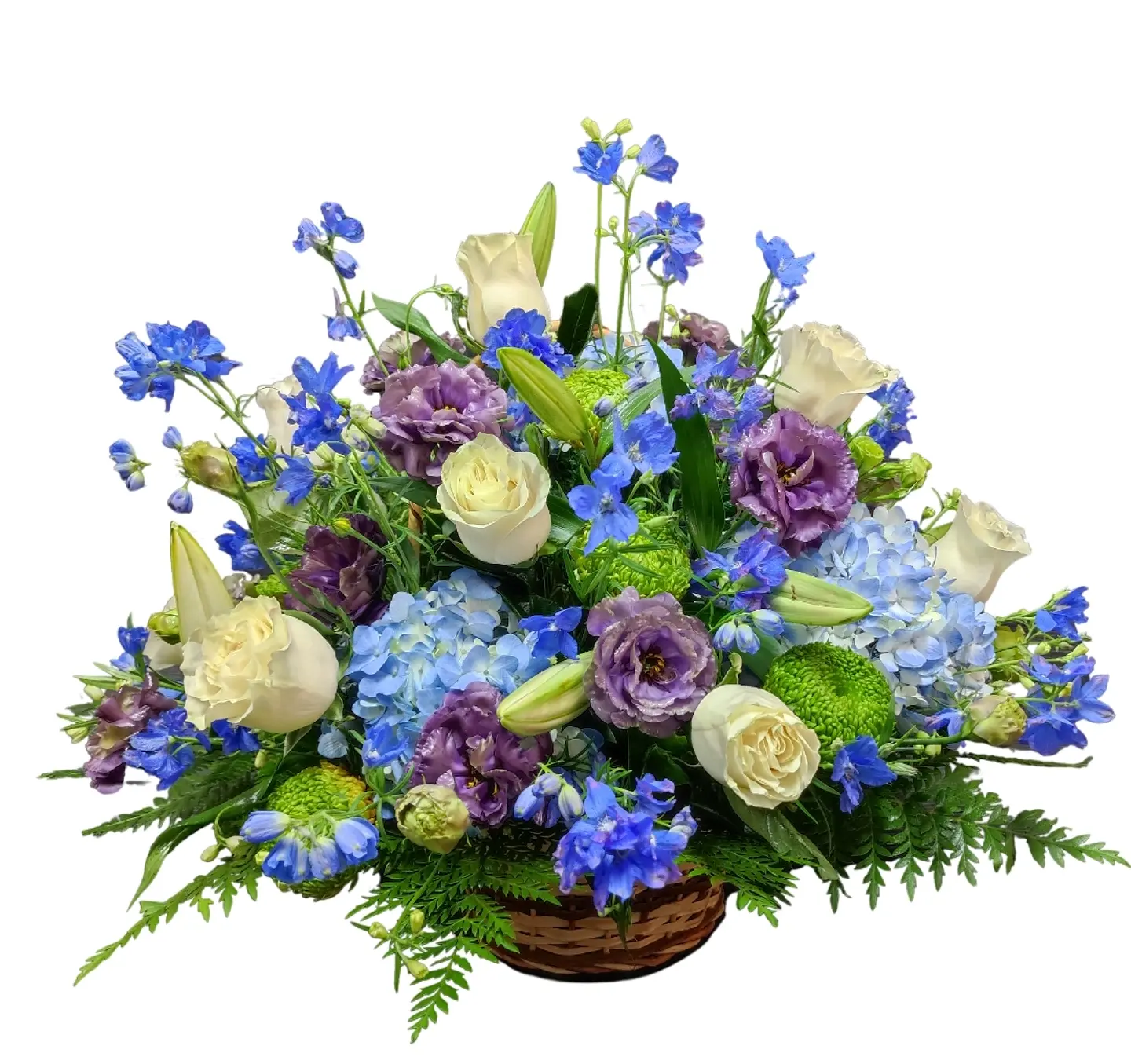 Cesta dreamblues 1