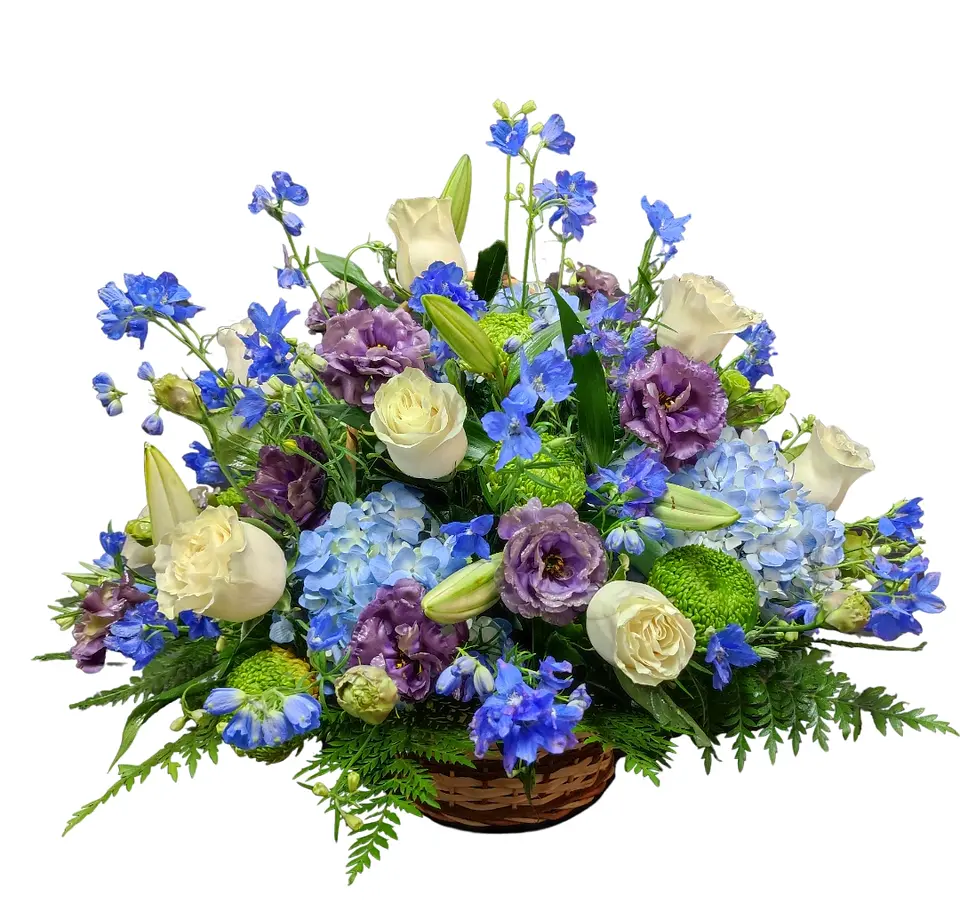 Cesta dreamblues 1