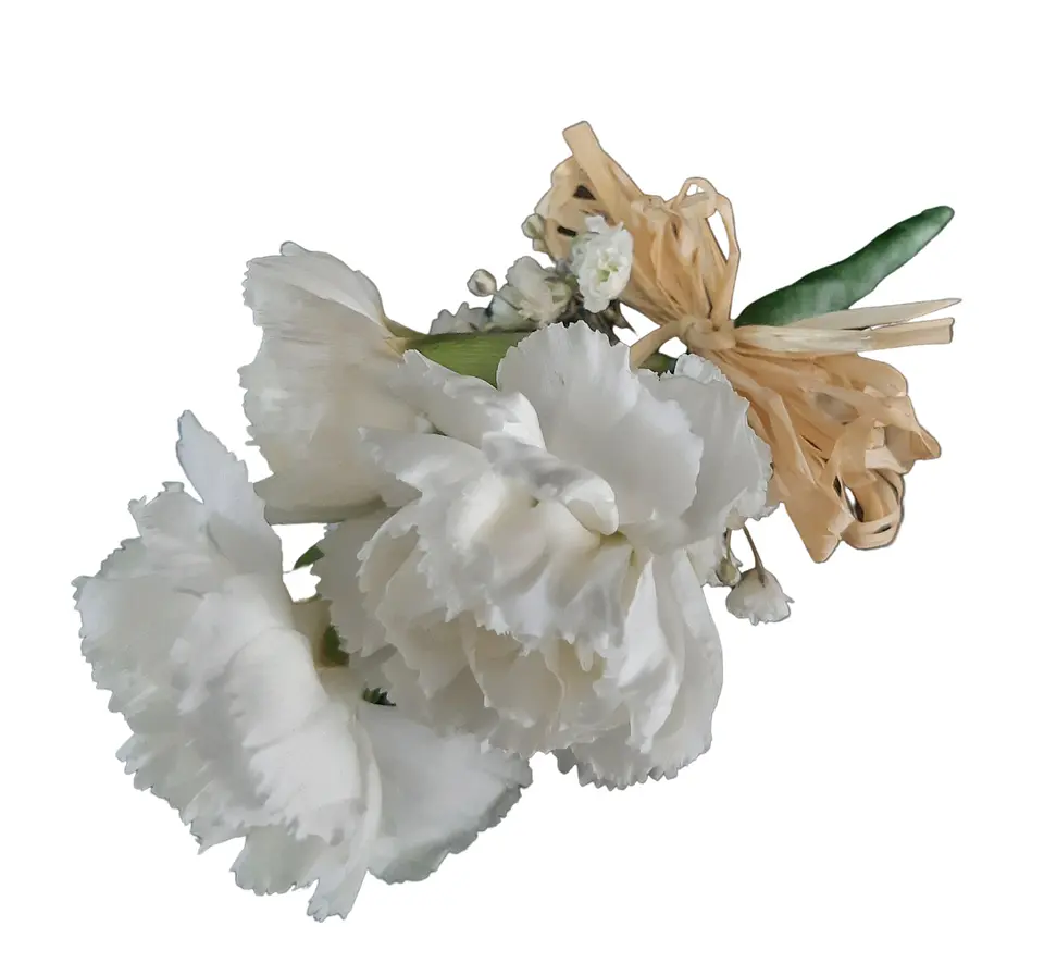 Boutonniere de dianthus blancos  1