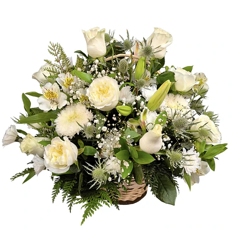 Cesta perfect white