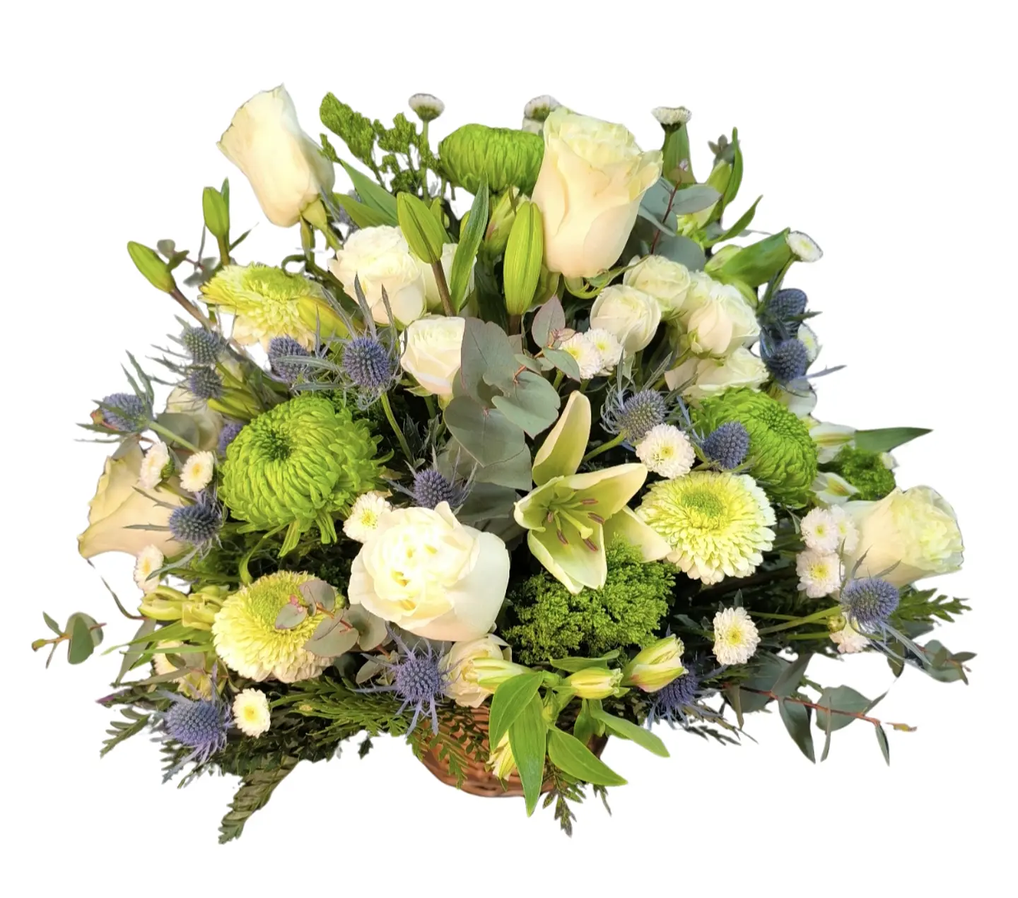 Cesta splendid 1
