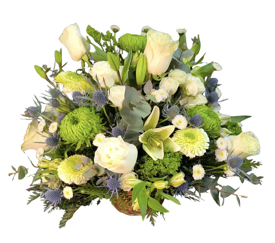 Cesta splendid 1