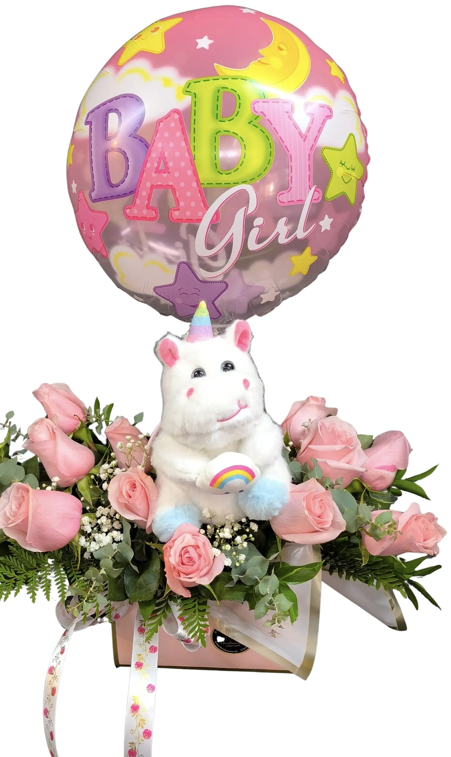 Carterita de nacimiento baby girl 2