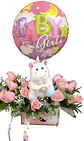Carterita de nacimiento baby girl - Miniatura 2