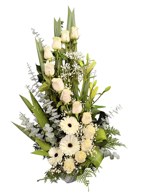 Espiral de rosas blancas