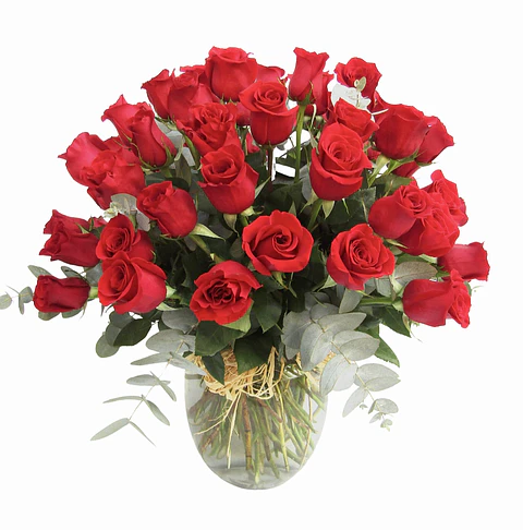 Florero de 50 rosas rojas 