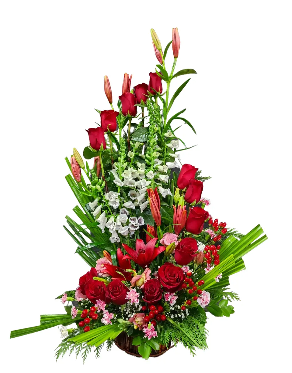 Espiral deluxe rojo  1