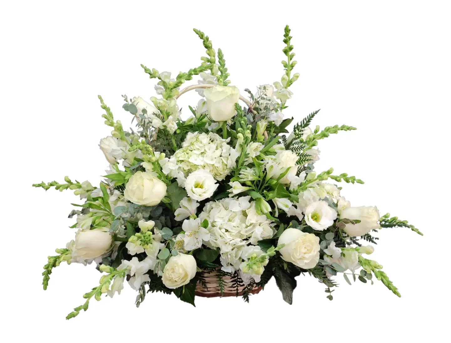 Gran cesta mixta blanca de dragonarias y rosas 1