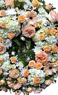 Corona peach perfect - Miniatura 3
