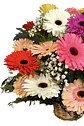 Cesta mixta gerberas  - Miniatura 2