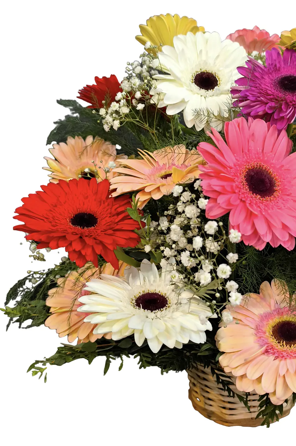 Cesta mixta gerberas  2