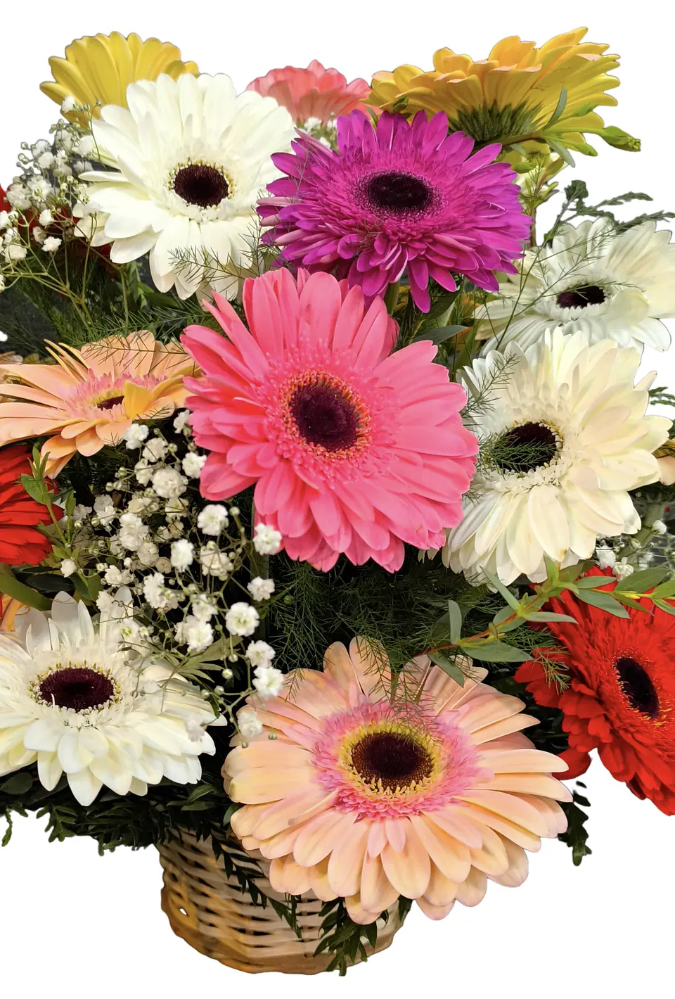 Cesta mixta gerberas  3