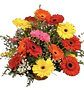 Cesta de gerberas multicolor  - Miniatura 1