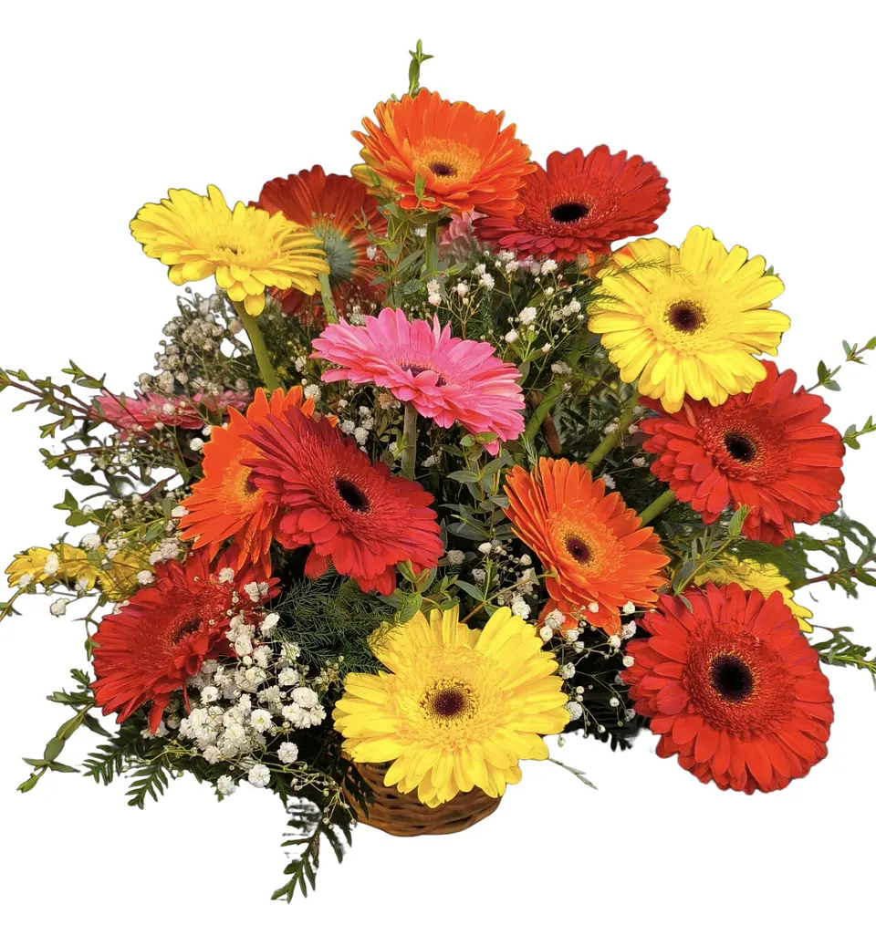 Cesta de gerberas multicolor  1