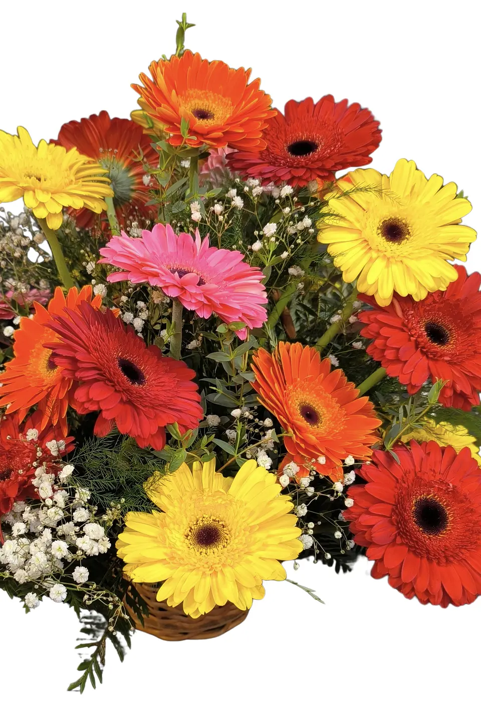 Cesta de gerberas multicolor  2