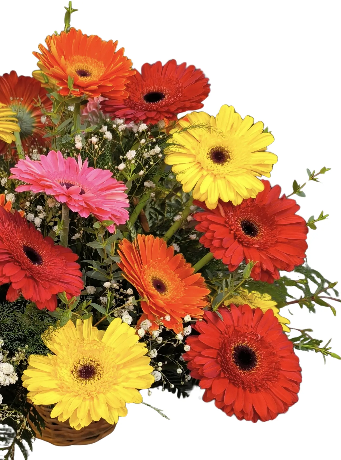 Cesta de gerberas multicolor  3