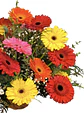 Cesta de gerberas multicolor  - Miniatura 3