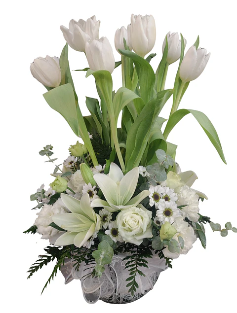 Pecera de 10 tulipanes blancos