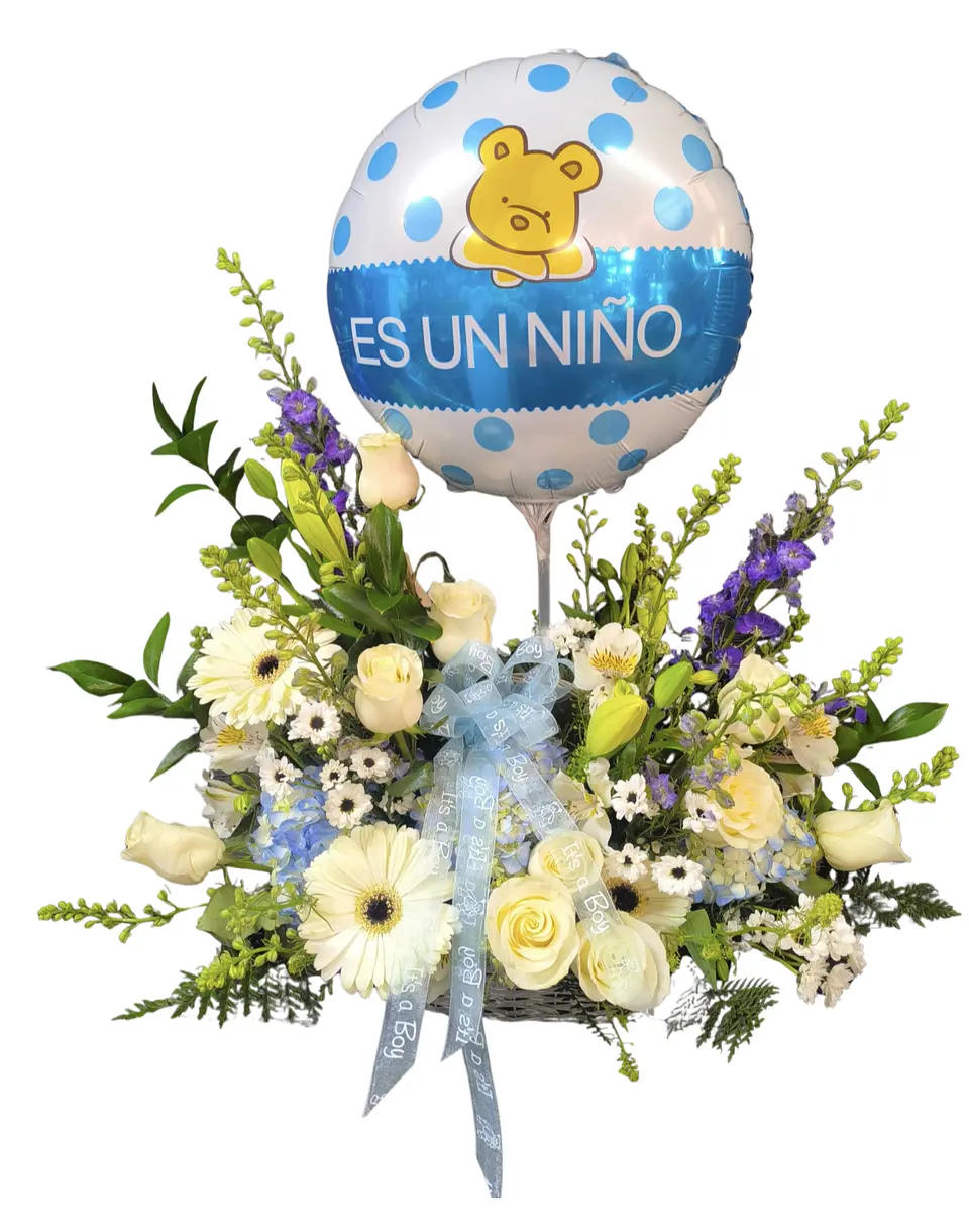 Cesta te amamos bebé 1