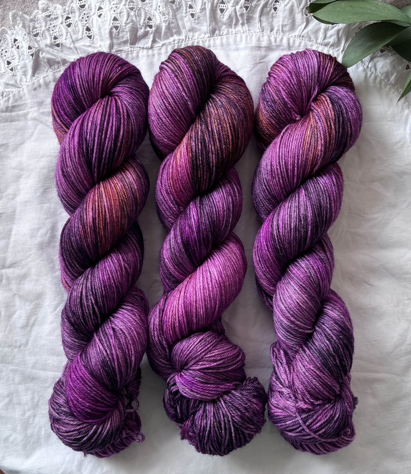 Tierra de Malva
