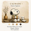 Calendario de Adviento 2026