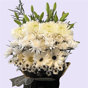Arreglo Condolencias con Gerberas Blancas