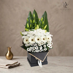 Arreglo Condolencias con Gerberas Blancas