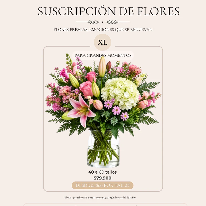 Plan Mensual de Flores 4