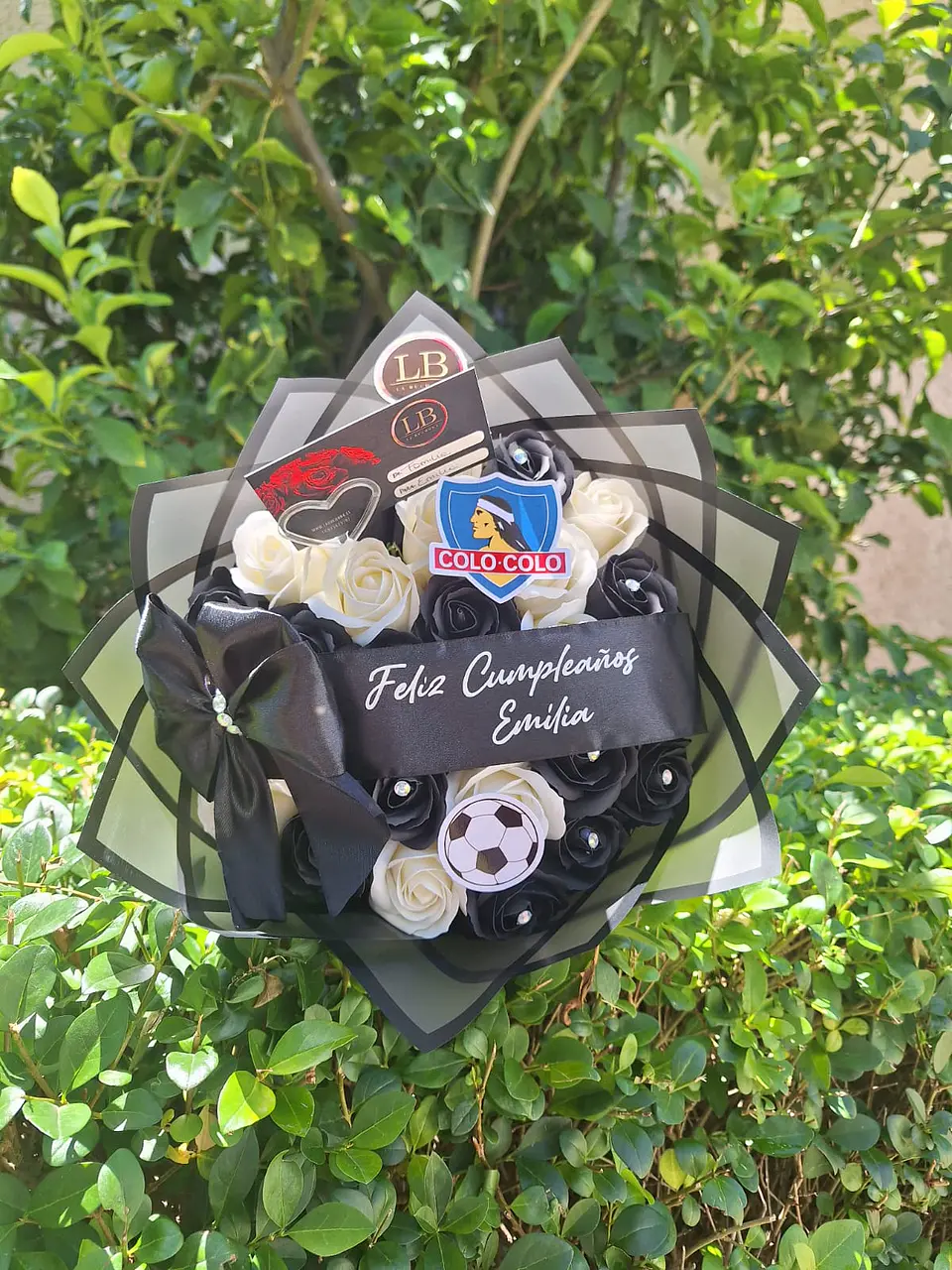 Ramo eterno colo-colo  1