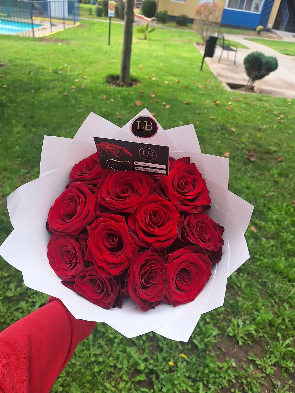 Ramo de 12 Rosas Naturales 3