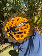  Un Detalle que Ilumina | Ramo de 40 Girasoles 🌻 - Miniatura 2