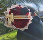 Ramo de 25 Rosas Naturales Graduada! 🎓🌹 - Miniatura 2