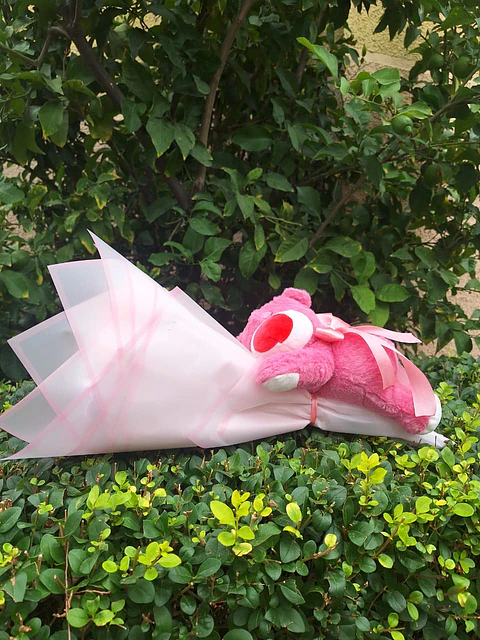 Minibuchon Lotso