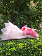 Minibuchon Lotso - Miniatura 1
